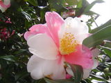 DSC04416.JPG