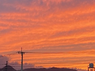 IMG_0162.JPG